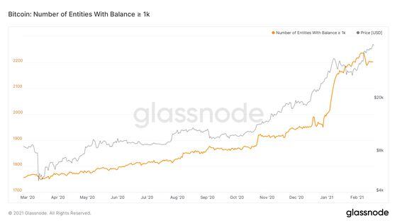 The number of bitcoin addresses with at least 1,000 bitcoin (roughly $50 million worth) has trailed off recently after rising over the past year. 