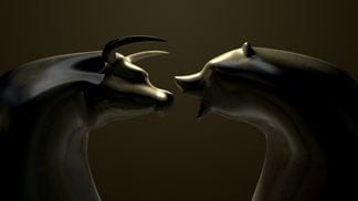 bull-and-bear-market-trend-bronze-castings