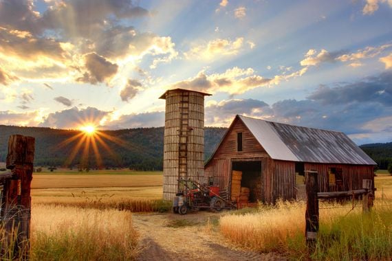 sunrise-farm
