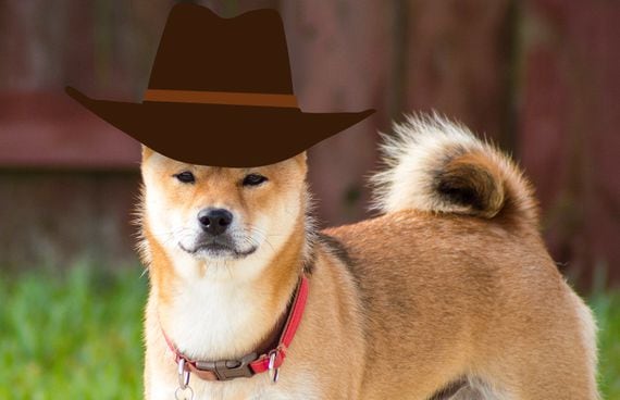 doge-cowboy-hat2a-2