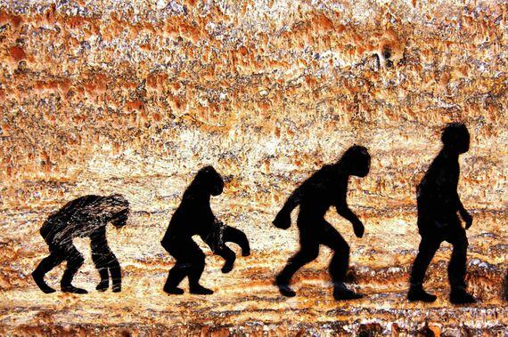 evolution-humans
