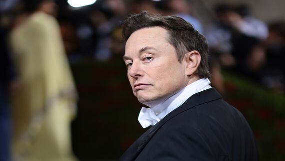 APE Surges Then Sinks After Elon Musk's Bored Ape Profile Picture Tease