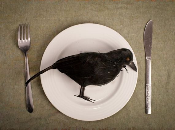 eat-crow-plate