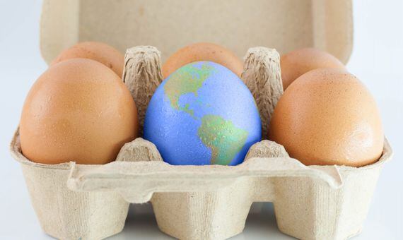 world-egg-fragile